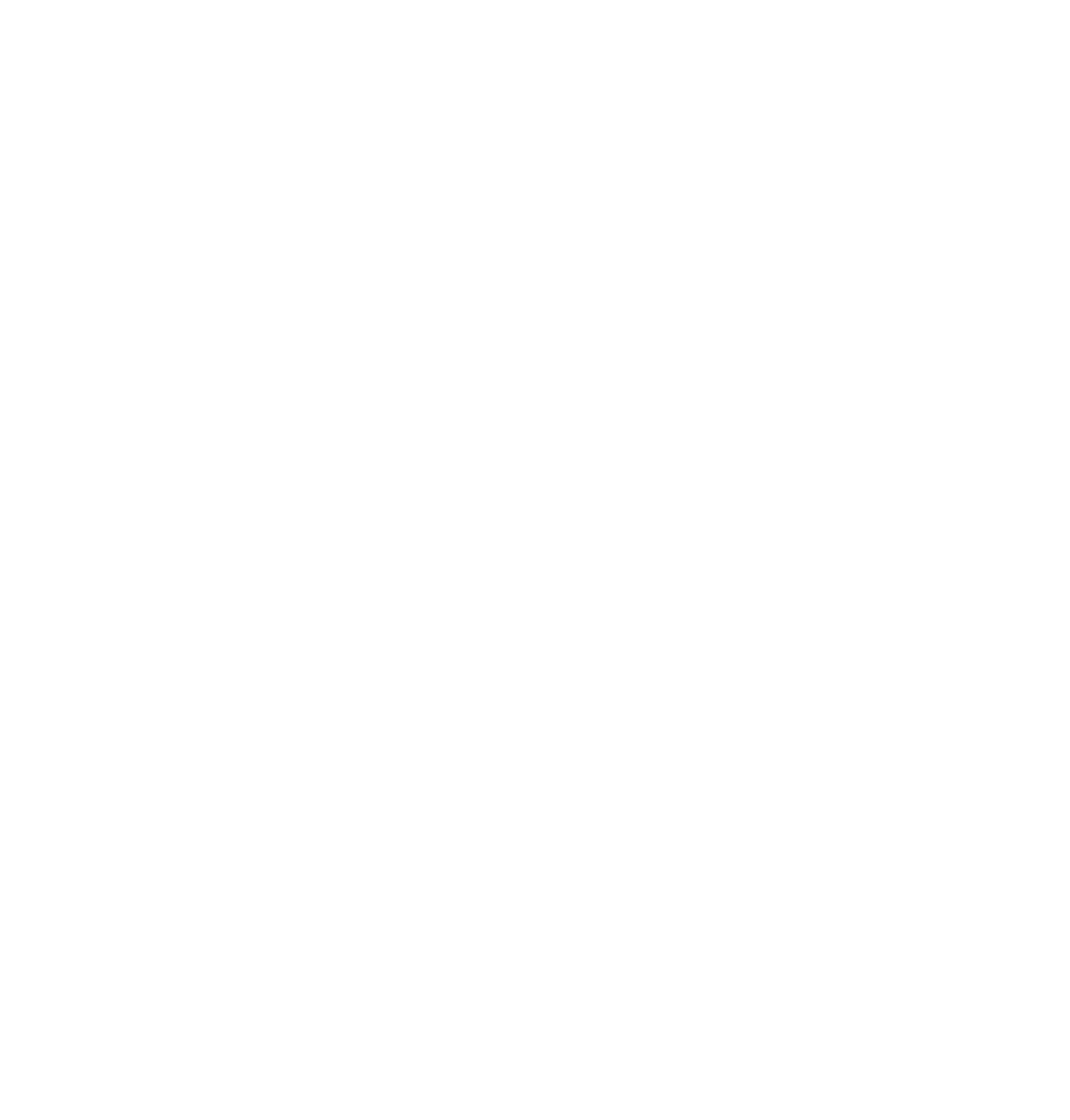 SinFin